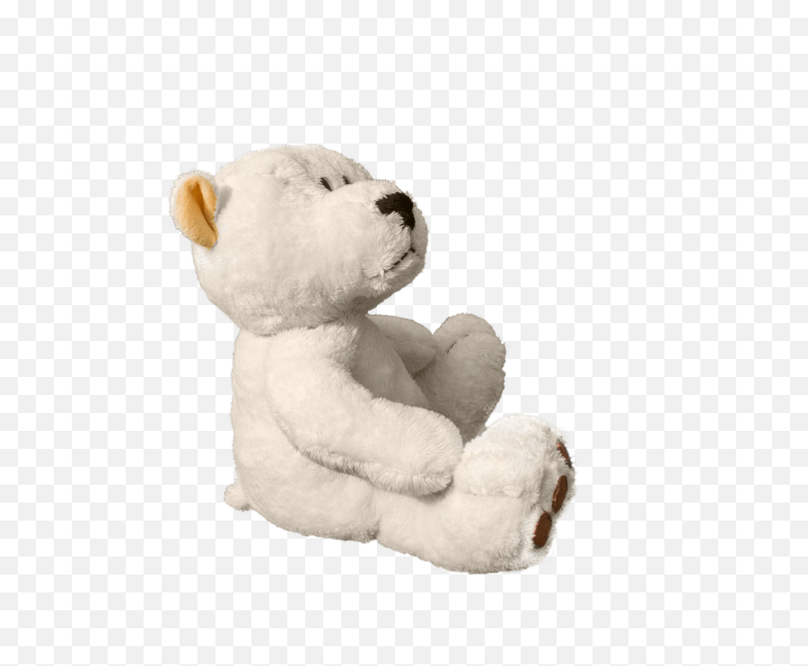 Teddy Bear Soft - Free Photo On Pixabay Stuffed Toy Png,Teddy Bears Png
