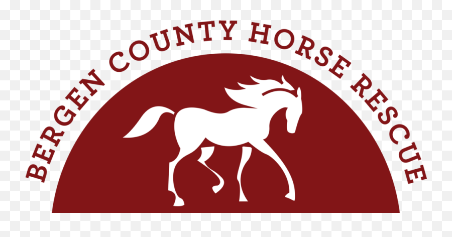 Bergen County Horse Rescue - Bergen County Horse Rescue Png,Stallion Logo