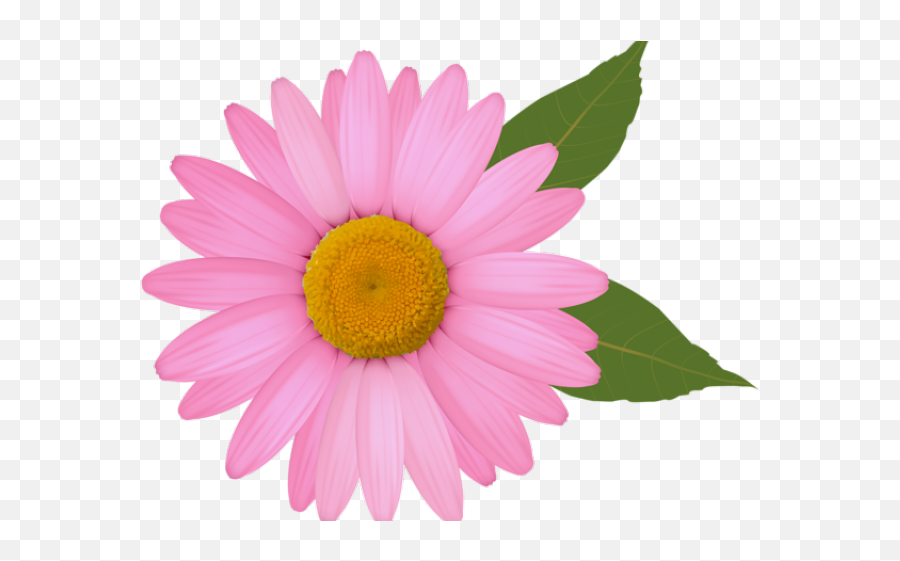 Daisy Flower Clipart Png Transparent - Daisy Flower Png Clipart,White Daisy Png