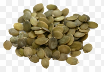 Pumpkin Seeds No Background Png Play - Png