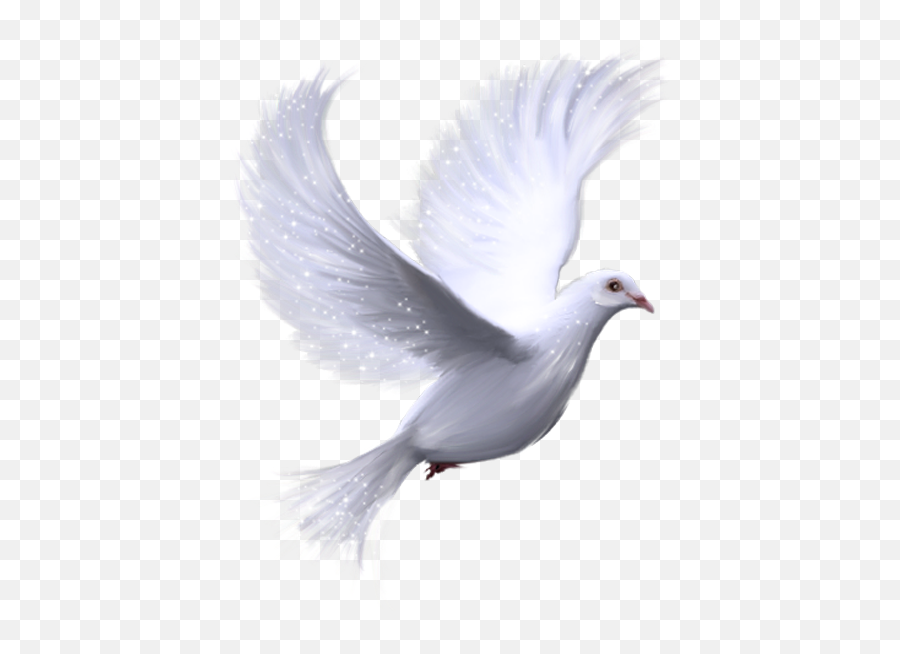 Dove Png Cliparts Email This Blogthis Share To Twitter - White Bird Transparent Background,Email Clipart Png