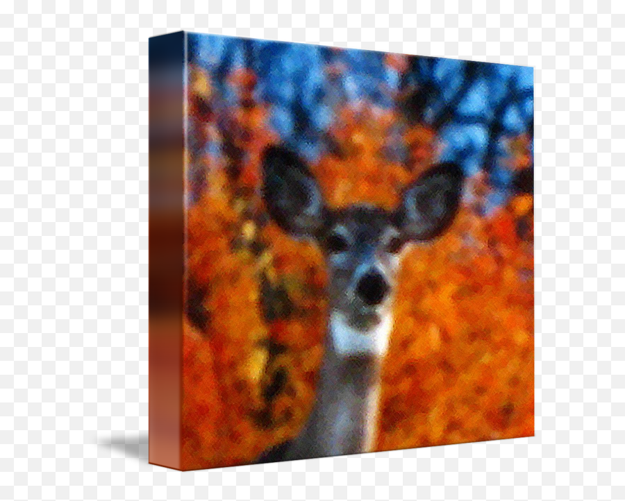 Deer In A Crosshatch By Ralph Nelsen - Deer Png,Crosshatch Png