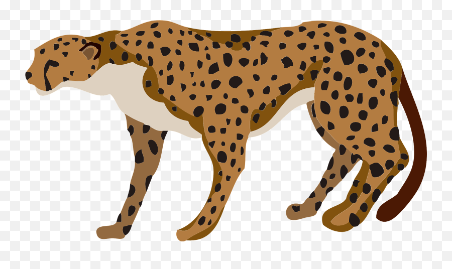 Cheetah Animal Clipart Free Download Transparent Png