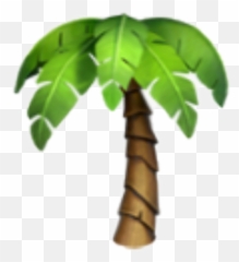 Download Hd Emoji Emojis Emojisticker Iphone Iphoneemoji - Palm Tree Png