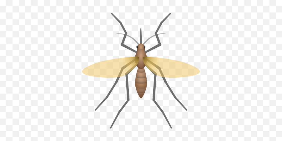 Mosquito Icon - Parasitism Png,Mosquito Icon