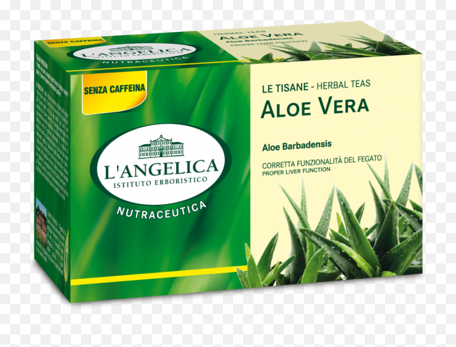 Lu0027angelica - Aloe Vera Herbal Tea Tisana Del Buongiorno L Angelica Png,Aloe Vera Plant Png