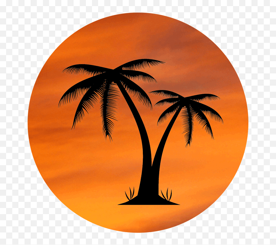 Download Orange Sky Palm Tree Design - Coco Png,Palm Tree Logo