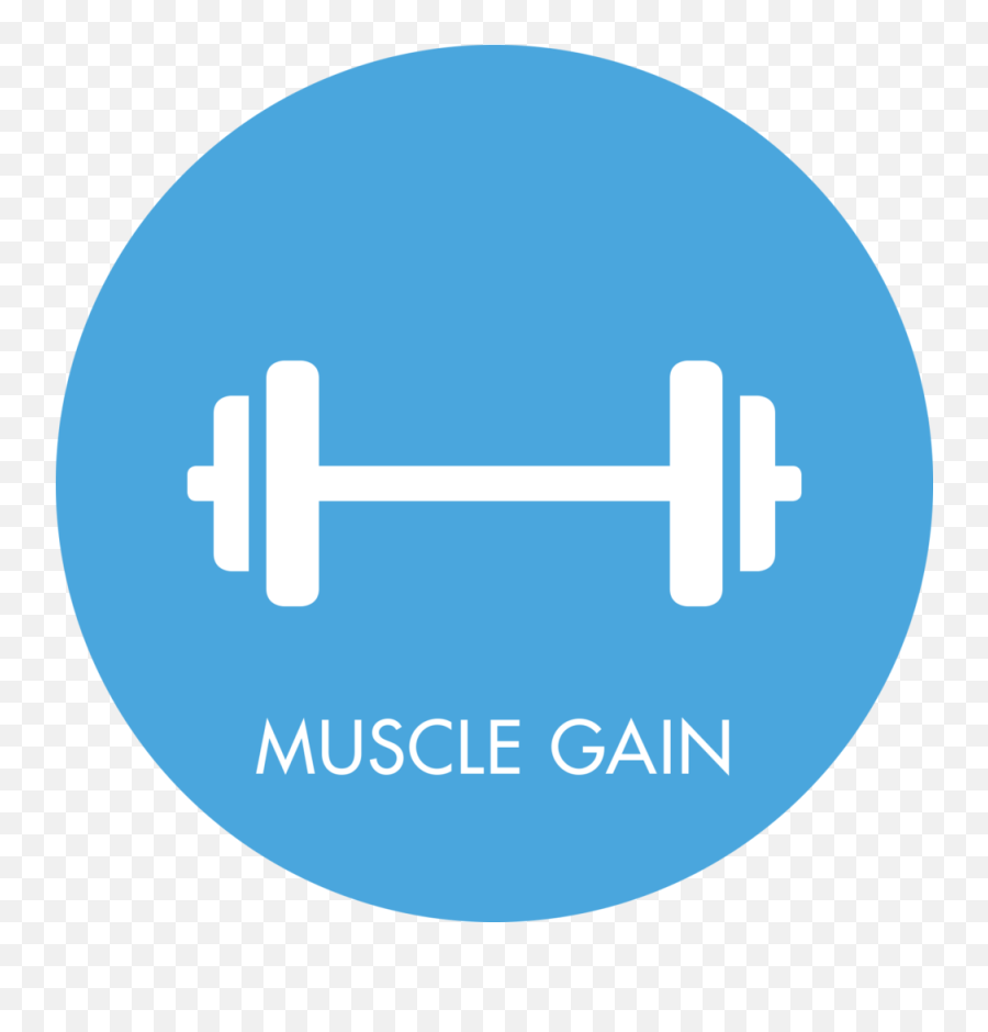 Muscle Gain U2014 Your Body Programme - Dumbbell Png,Gain Weight Icon