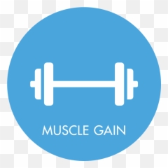 Muscle Gain U2014 Your Body Programme - Dumbbell png