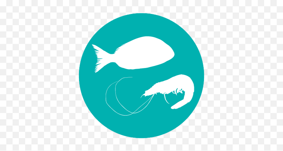 Species Experts - Diamond V Fish Png,Icon For Production