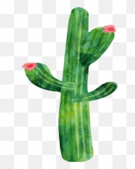 Freetoedit Ftestickers Watercolor Cactus Succulent Deco - Watercolor Painting png
