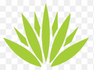Agave Azul Bottle Service - Coa De Jima Logo png