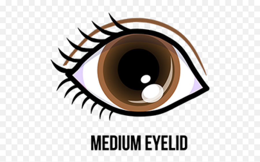 Eyelash Clipart Eye Lid - Cartoon Brown Eyes Png Download Cartoon Eyes Clip Art,Eyelash Png