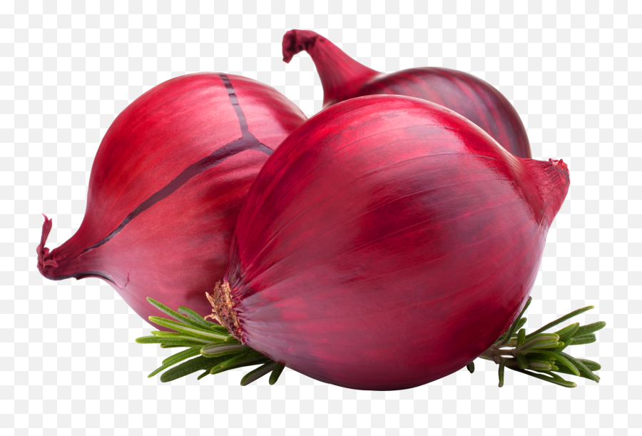 Onion Export Banners Transparent Png - Red Onion Png Transparent,Onion Png