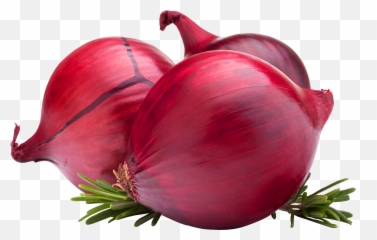 Onion Export Banners Transparent Png - Red