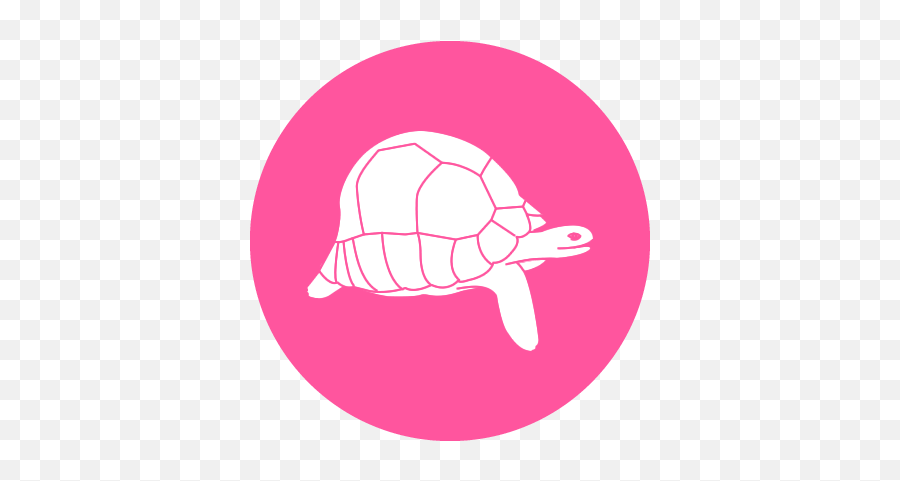Rebuilding - Durrell Icon Tortoise Pink Png,Toroise Icon