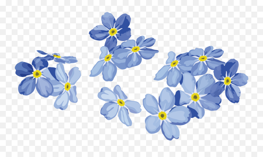 Forget Me Not Png Image Background Arts - Forget Me Not Flower Png,Me Png