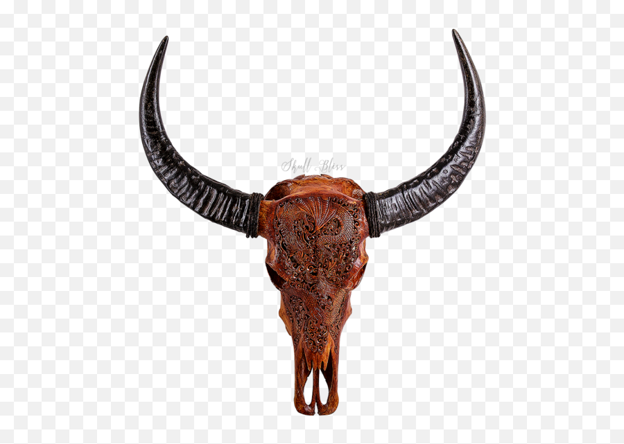 Texas Longhorn English Skull - Horn Png,Longhorn Png