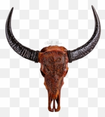 Texas Longhorn English Skull - Horn Png,Longhorn Png