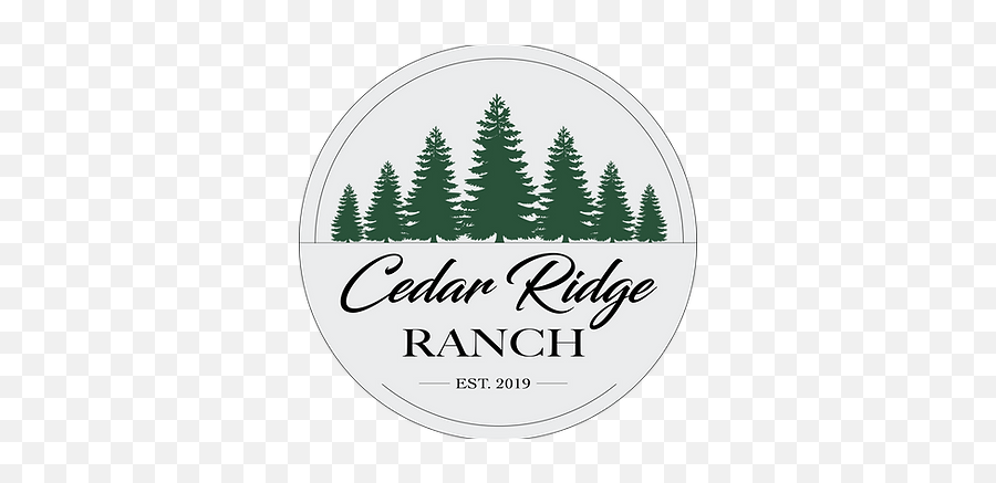 Cedar Ridge Ranch Willis Custom Homes - Big Man In The Woods Png,Cedar Tree Icon