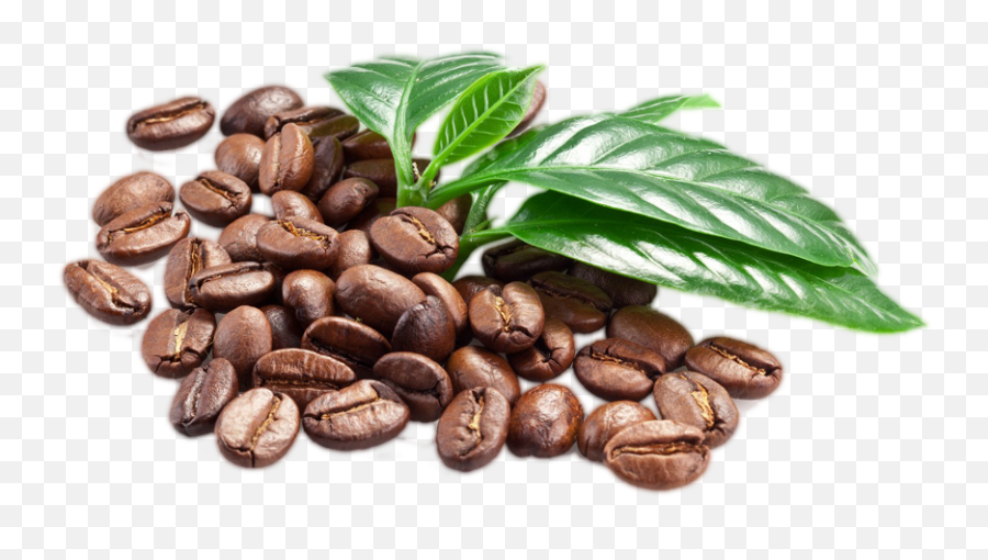 Coffee Beans Png Transparent Images Jpg - Coffee Beans Transparent Background,Coffee Beans Transparent