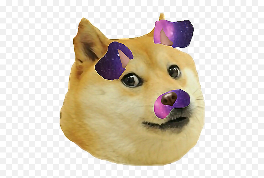 Download Hd Doge Transparent Background - Heavy Breathing Doge Meme Png,Doge Transparent Background