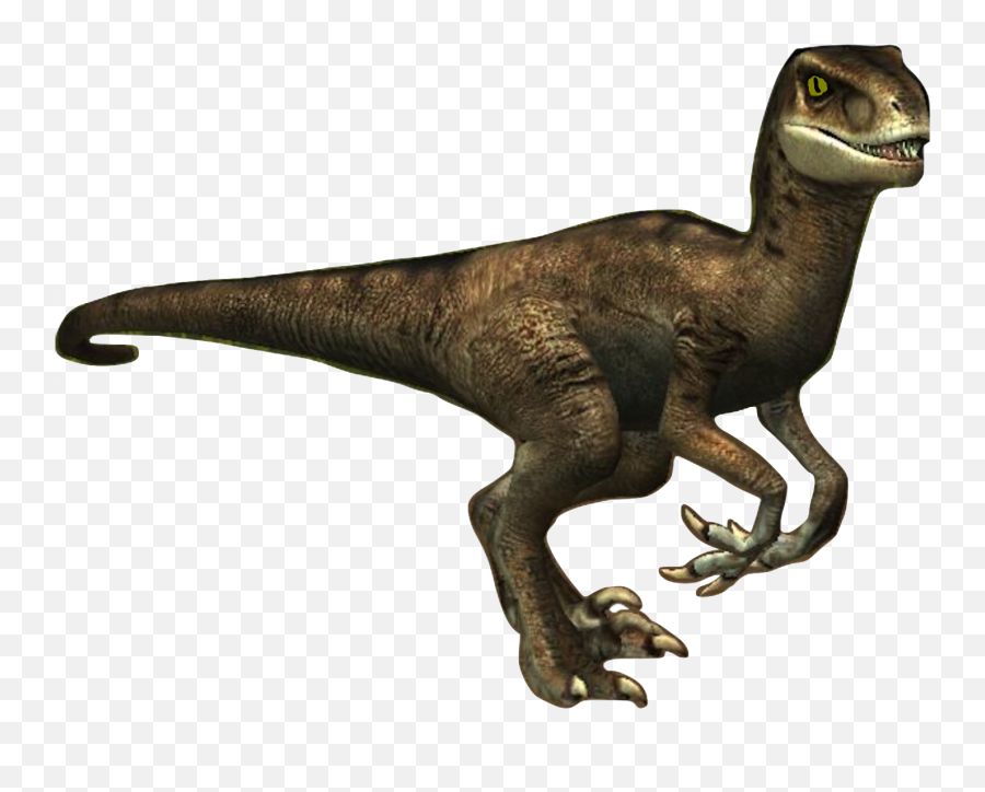 Velociraptor Png Image With No - Velociraptor Transparent Background Png,Velociraptor Png