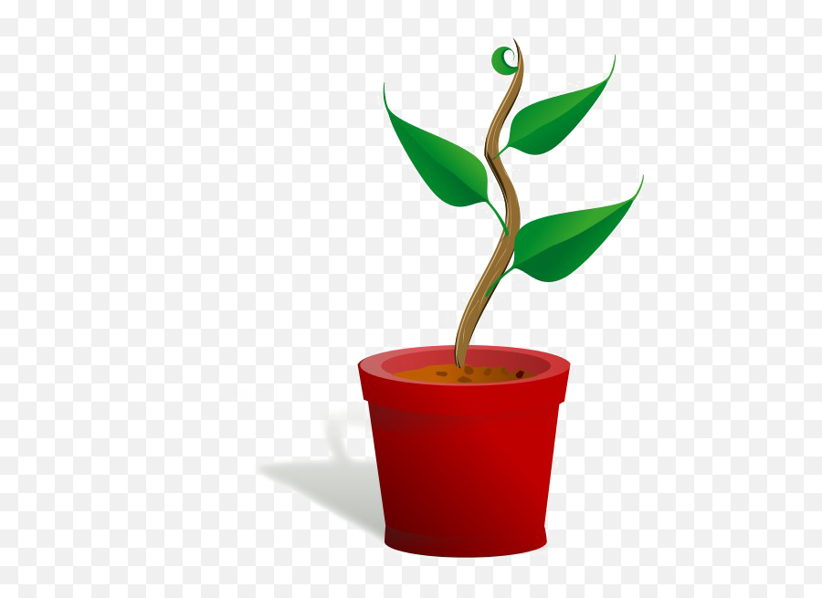 Growing Plant Download Free Clipart Hd - Getting To Know Plants Png,Plant Clipart Png