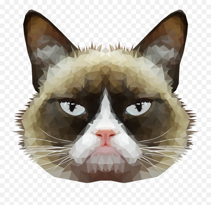 American Wirehair Grumpy Cat Whiskers Domestic Short - Haired Png Png File Png Cat Head,Cats Png
