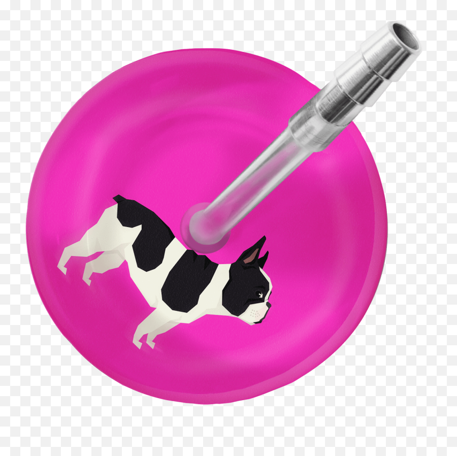 French Bulldog Stethoscope - Stethoscope Png,Bulldog Transparent