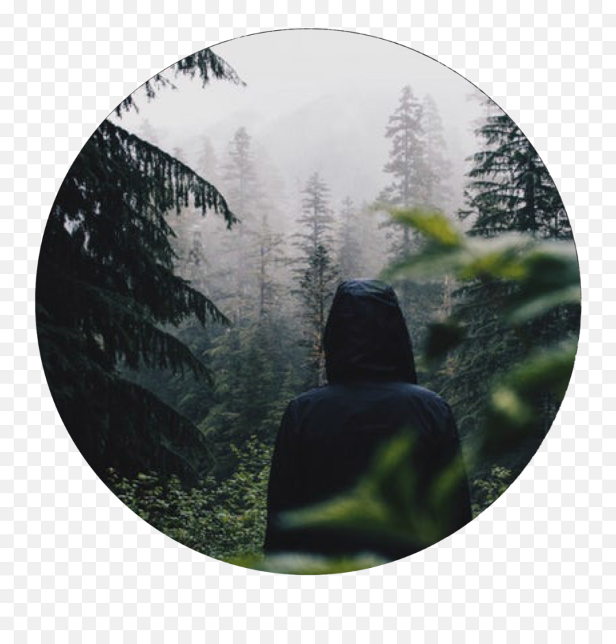 Pak Backpack U2014 Caroline Frey - Aesthetic Boy In Forest Png,Fog Png Transparent