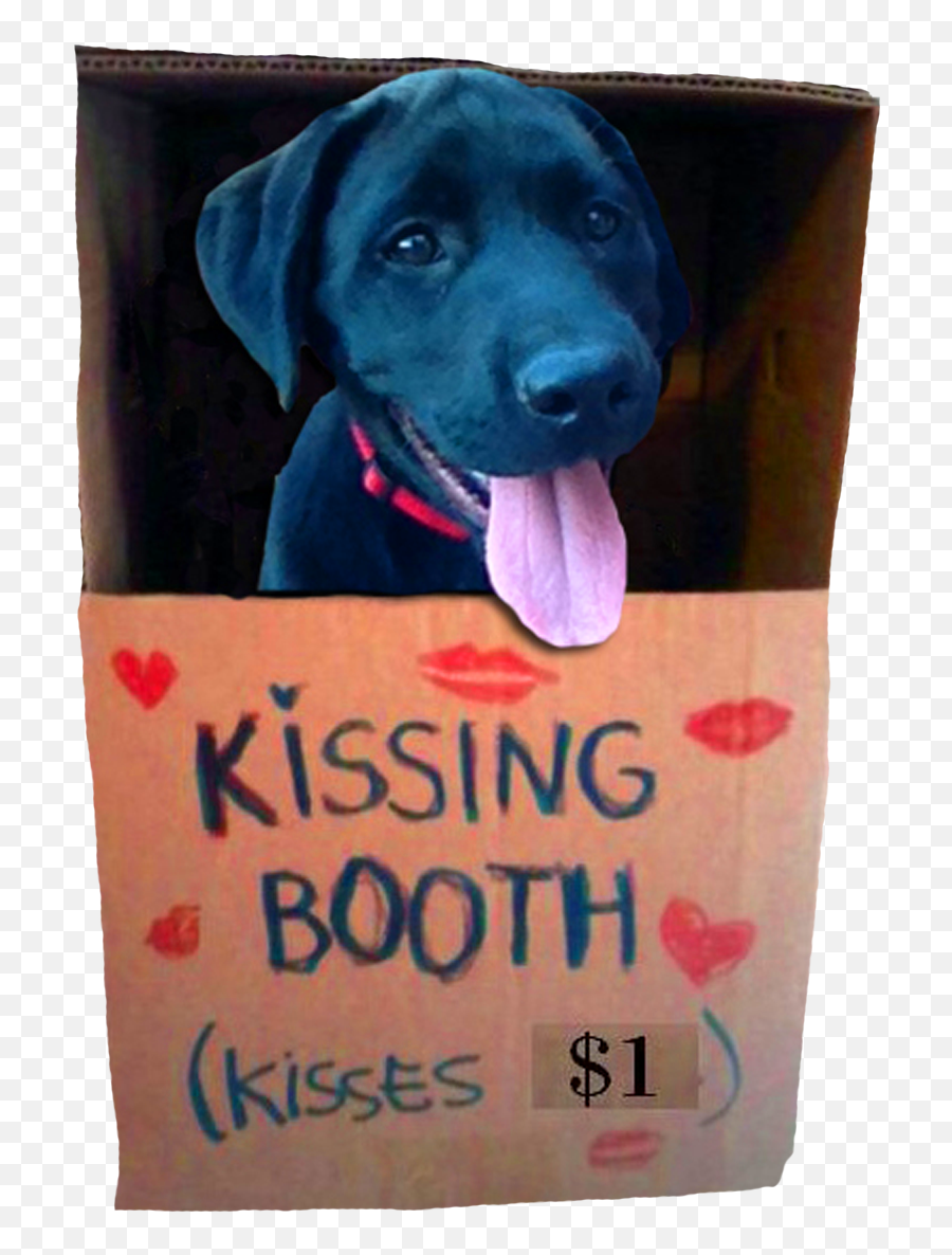 Chunk Kissing Booth Black Lab Puppy Png