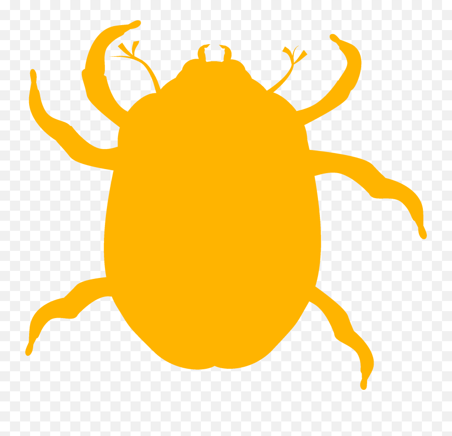 Bug All Code Ignored - Beetle Bug Clipart Png Download June Bug Clipart,Bug Png