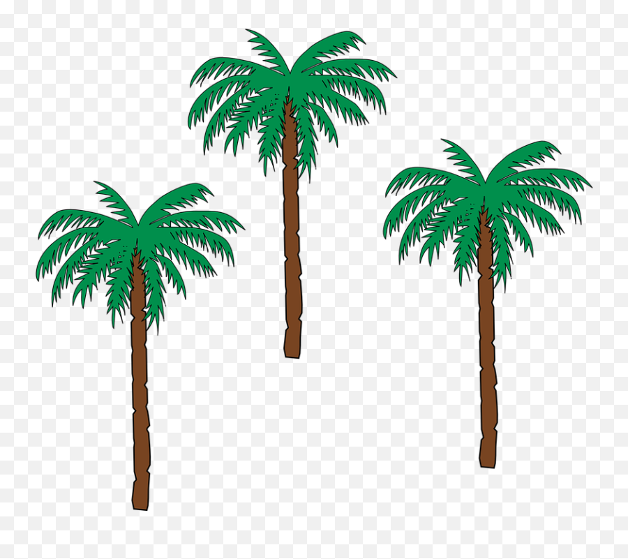 Download Palm Tree Png 22 Buy Clip Art - Small Palm Tree Pom Trees,Small Tree Png