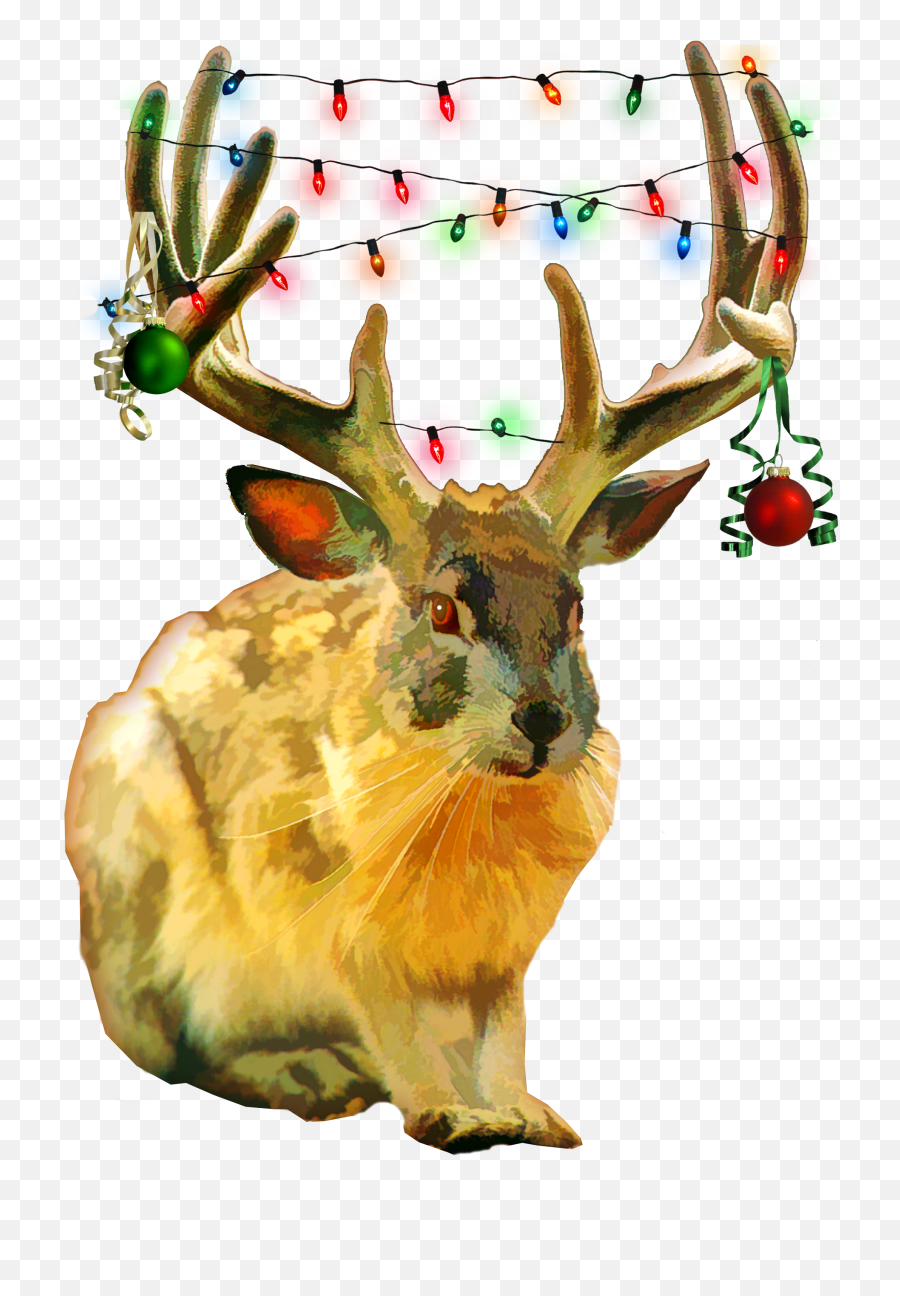 Mythical Southwest Jackalope Decorated For Christmas - Caribou Png,Christmas Reindeer Png
