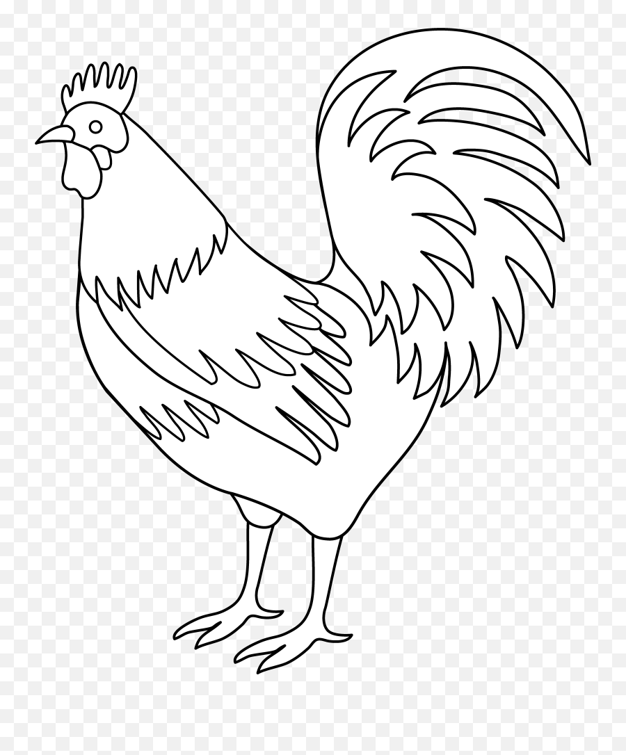 Rooster Coloring Page Image Png Clipart - Rooster Black And White Clipart,Rooster Png
