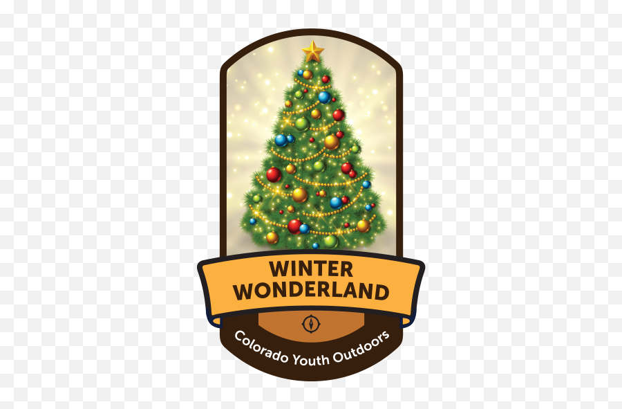 Welcome - Colorado Youth Outdoors Winter Wonderland Colorado Youth Outdoors Christmas Lights Png,Winter Wonderland Png