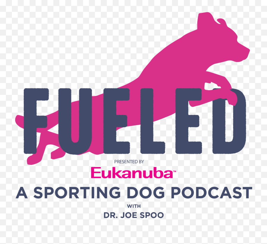 Interview With Russ Kelley - Eukanuba Sporting Dog Language Png,Internet Icon Episode 3 Part 2