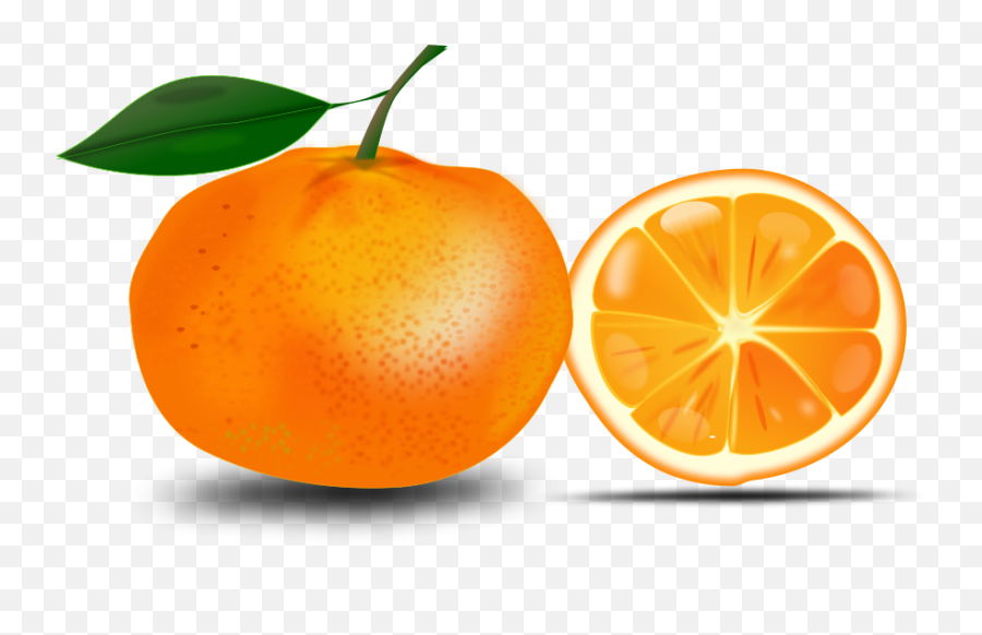 Orange Clip Art Free Clipart Png - Clipartix Free Clip Art Orange,Fruit Clipart Png