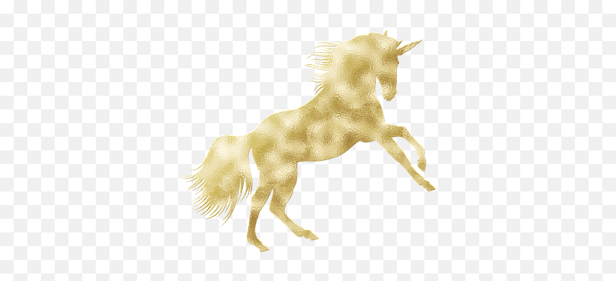 400 Free Unicornio U0026 Unicorn Illustrations - Pixabay Unicorn Png,Pretty Unicorn Icon