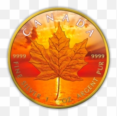 Modern World 1 Oz Silver Coinstv - Solid Png,Silver Icon