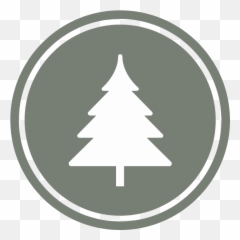 About Us U2014 Fourth Tree Health - Uncle Johns Cider Mill Png,Simple Christmas Tree Icon