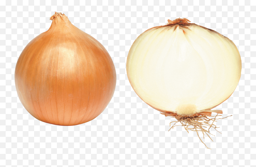 Onion Png Image Icon Favicon - Onion Png,Onion Png