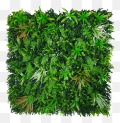 Download Hd Wild Grass Png Transparent - Nortene Vertical Tropic,Wild Grass Png