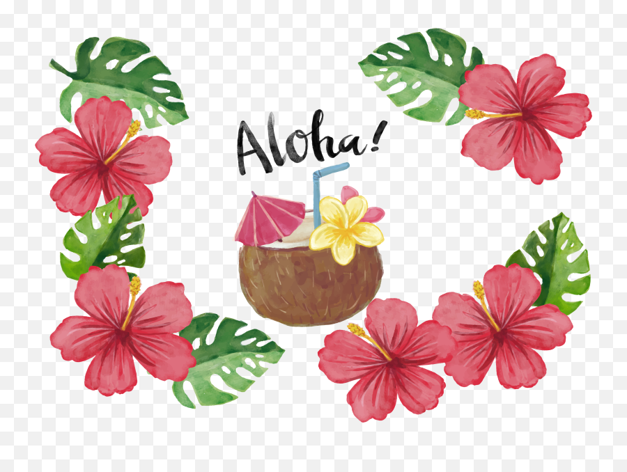 3348 X 2376 6 0 - Png Tropical Flower,Hawaiian Flowers Png