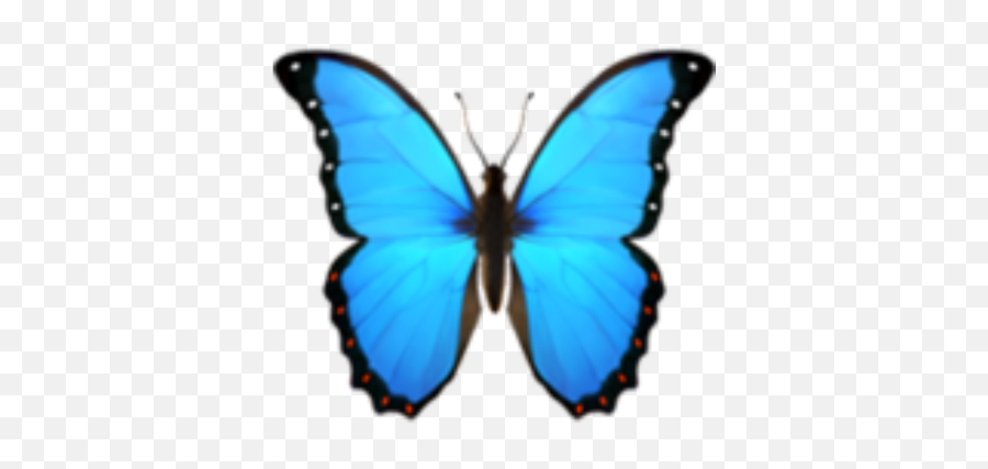 Butterfly Blue Bluebutterfly Emoji - Butterfly Emoji Png,Blue Butterfly Transparent Background