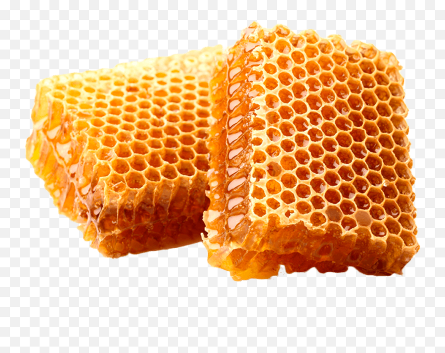 Honeycomb Stock Photography Beekeeping - Bees Wax Png,Beehive Png