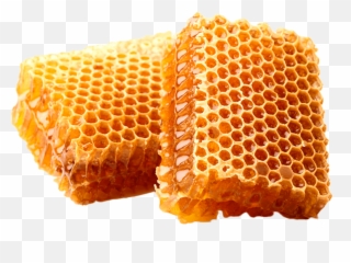Honeycomb Stock Photography Beekeeping - Bees Wax Png,Beehive Png