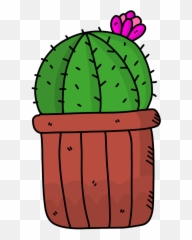 Cactus Succulent Succulents - Cartoon Succulent Png,Succulent Png