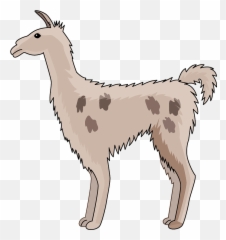 Llama Clipart Free Download Transparent Png Creazilla - Llama,Llama Png